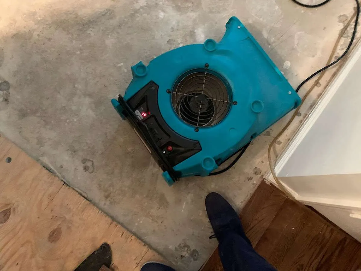 Air mover drying subfloor during Commercial Water Damage Restoration in Troy